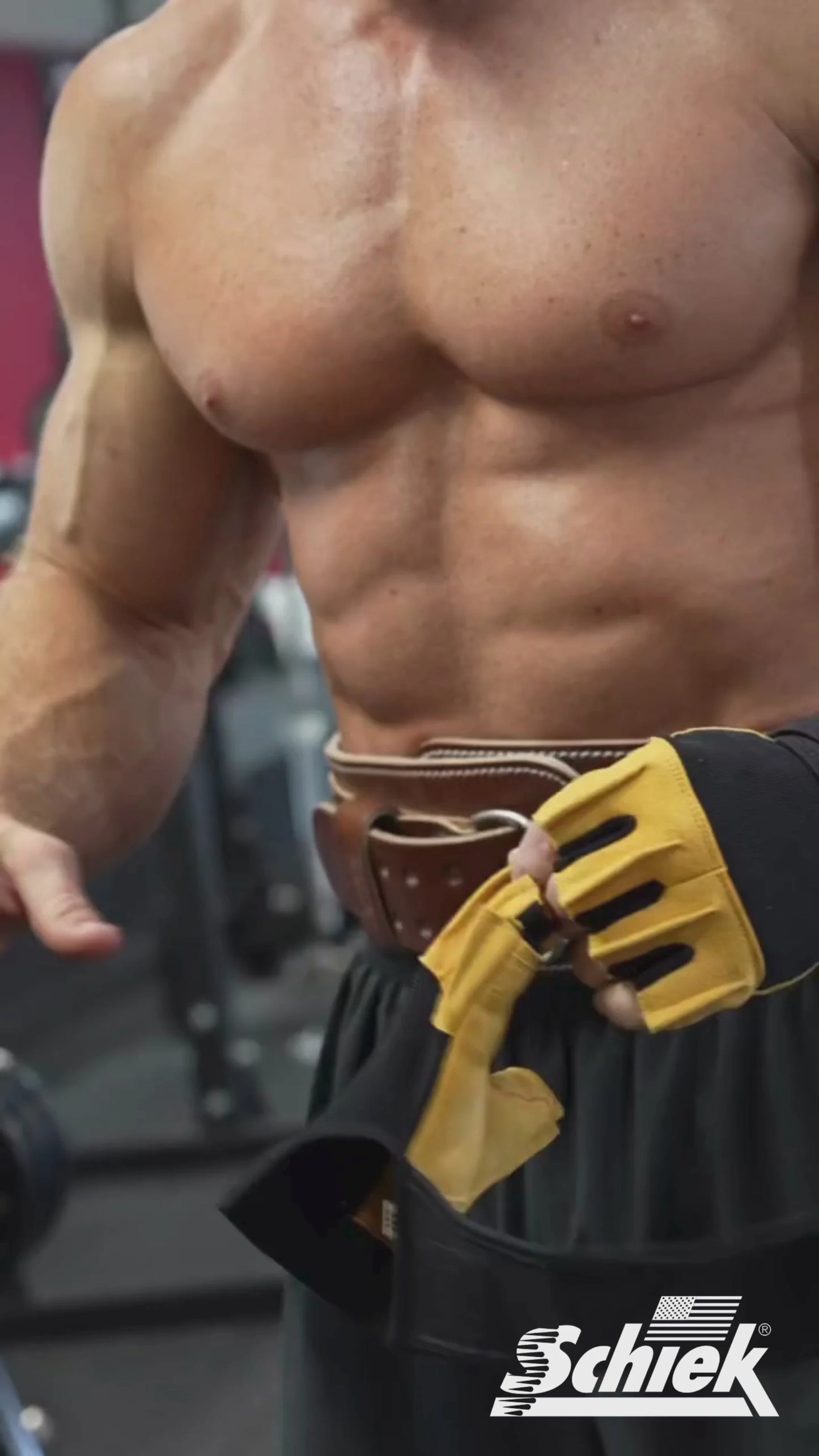 Power Series Lifting Gloves with Wrist Wraps